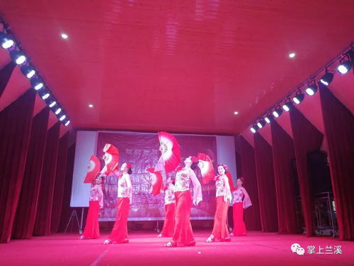 放歌新時代，文化進萬家——記2019新春文化系列活動與蘭溪水鳥藝術團的基層之旅